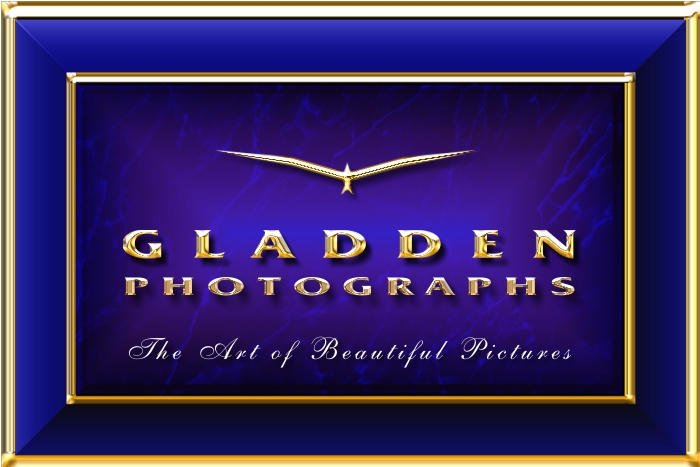 GLADDEN PHOTOGRAPHS LOGO